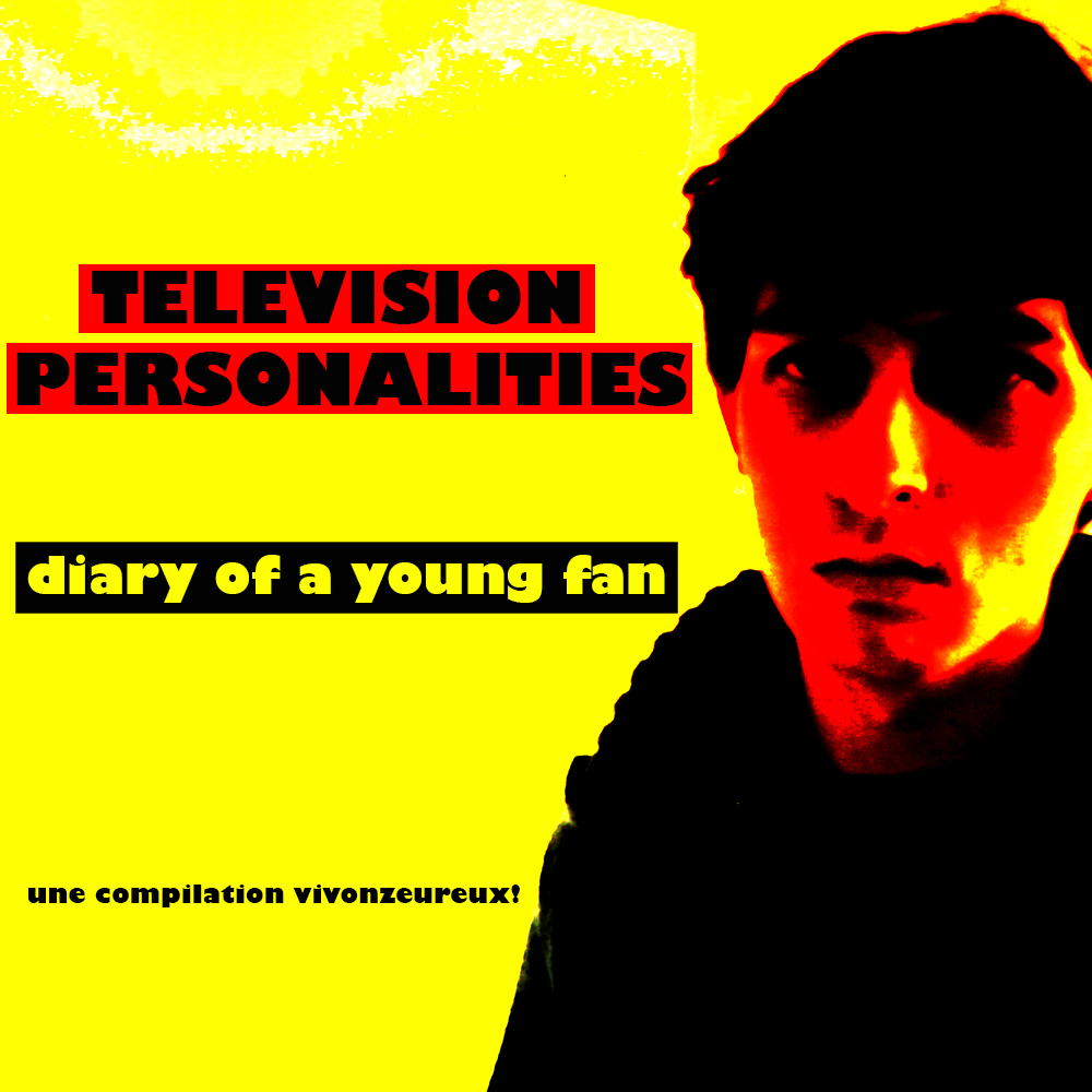 TELEVISION PERSONALITIES : "Diary of a young fan, Vivonzeureux! Records, 2017